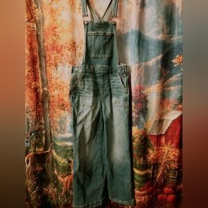 Torrid Blue Wide Leg Denim Coveralls Distressed Wide Leg Inseam 27 In